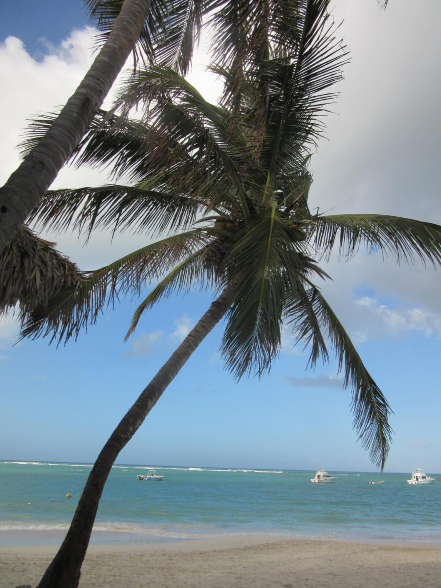 Seven Shades Of Coral Village - Suites & Pool In A Residence Close To The Beach Punta Cana Bagian luar foto